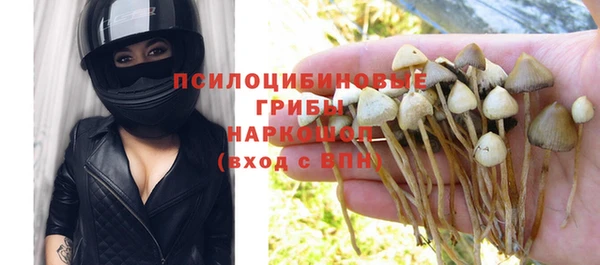 молекула духа Богданович