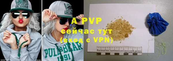 молекула духа Богданович