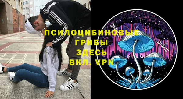 молекула духа Богданович