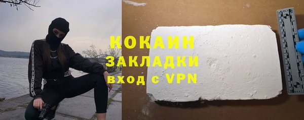 молекула духа Богданович