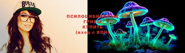 молекула духа Богданович