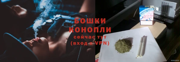 соль ск Богородицк