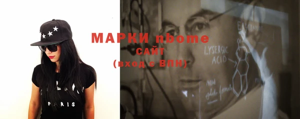 молекула духа Богданович