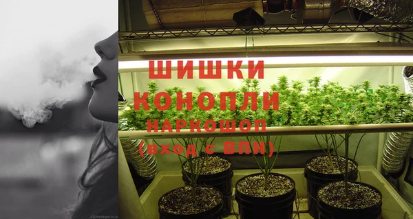 молекула духа Богданович