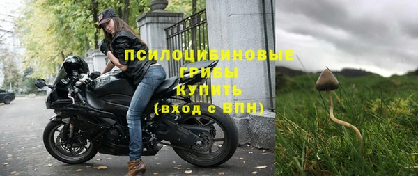 молекула духа Богданович
