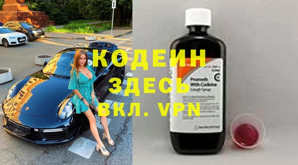 молекула духа Богданович