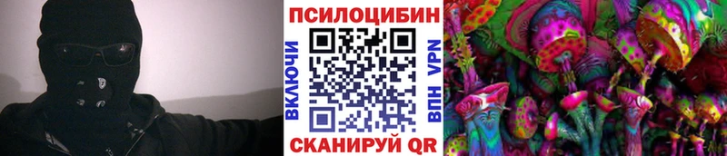 darknet как зайти  Красноармейск  Псилоцибиновые грибы мицелий 